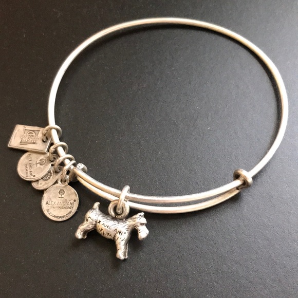 Alex and Ani Jewelry - Alex & Ani Silver Bracelet Monopoly Dog